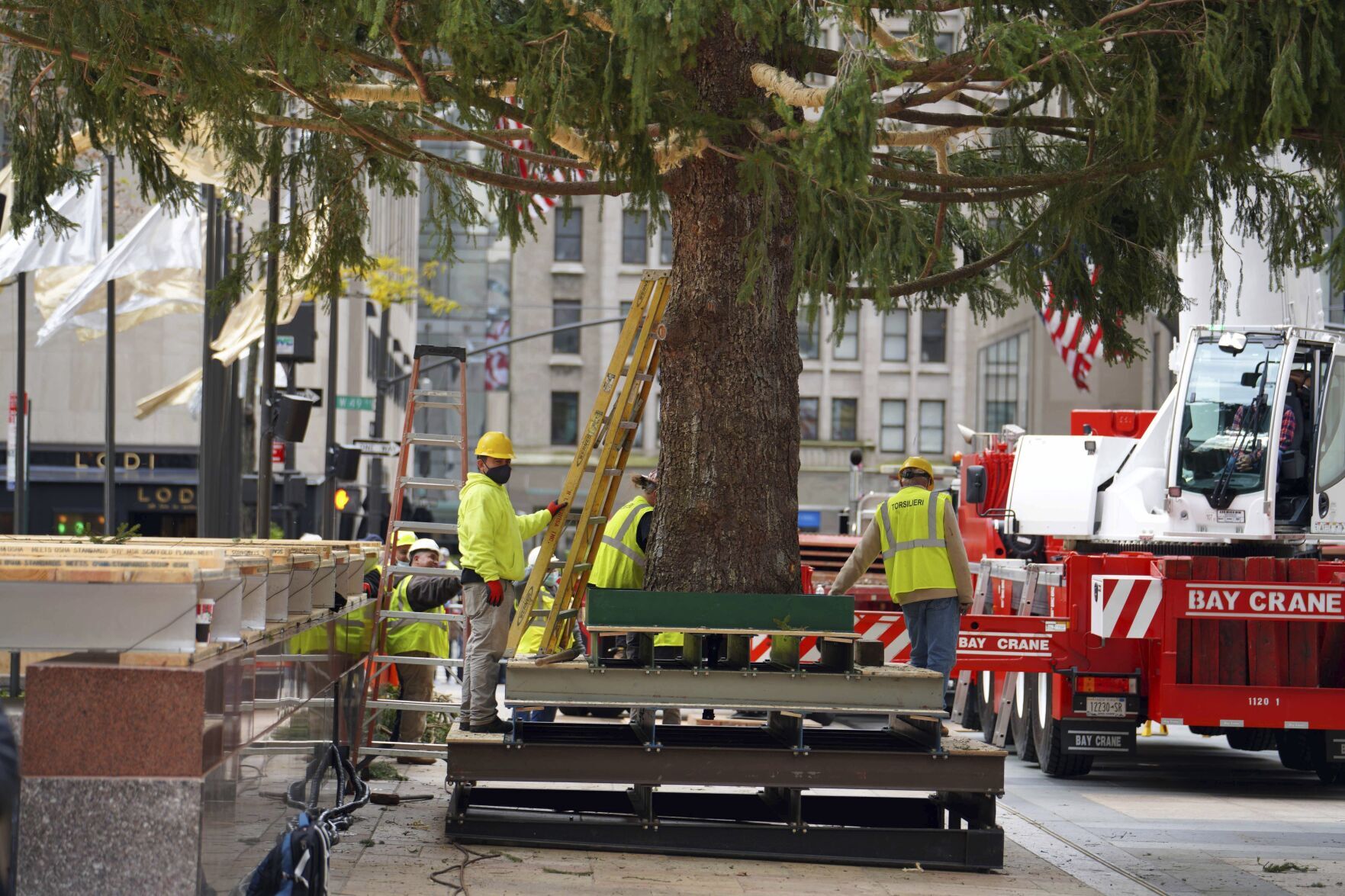 Rockefeller Center Tree